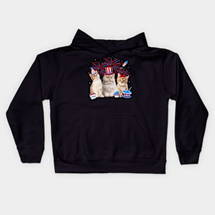 Happy 4th Of July Three Cat US Flag Patriotic Cats Lover Kids Hoodie